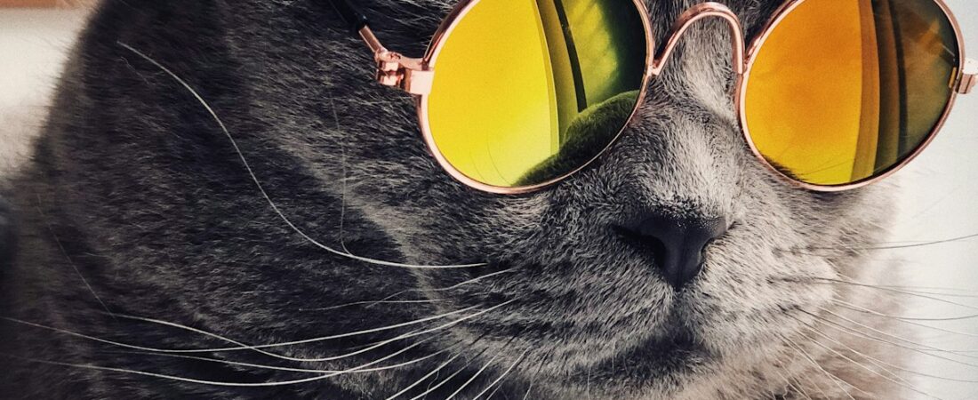 Assistant chat : pose ta question, obtiens une réponse en 1 clic Assistant chat : pose ta question, obtiens une réponse en 1 clic