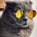 Assistant chat : pose ta question, obtiens une réponse en 1 clic Assistant chat : pose ta question, obtiens une réponse en 1 clic